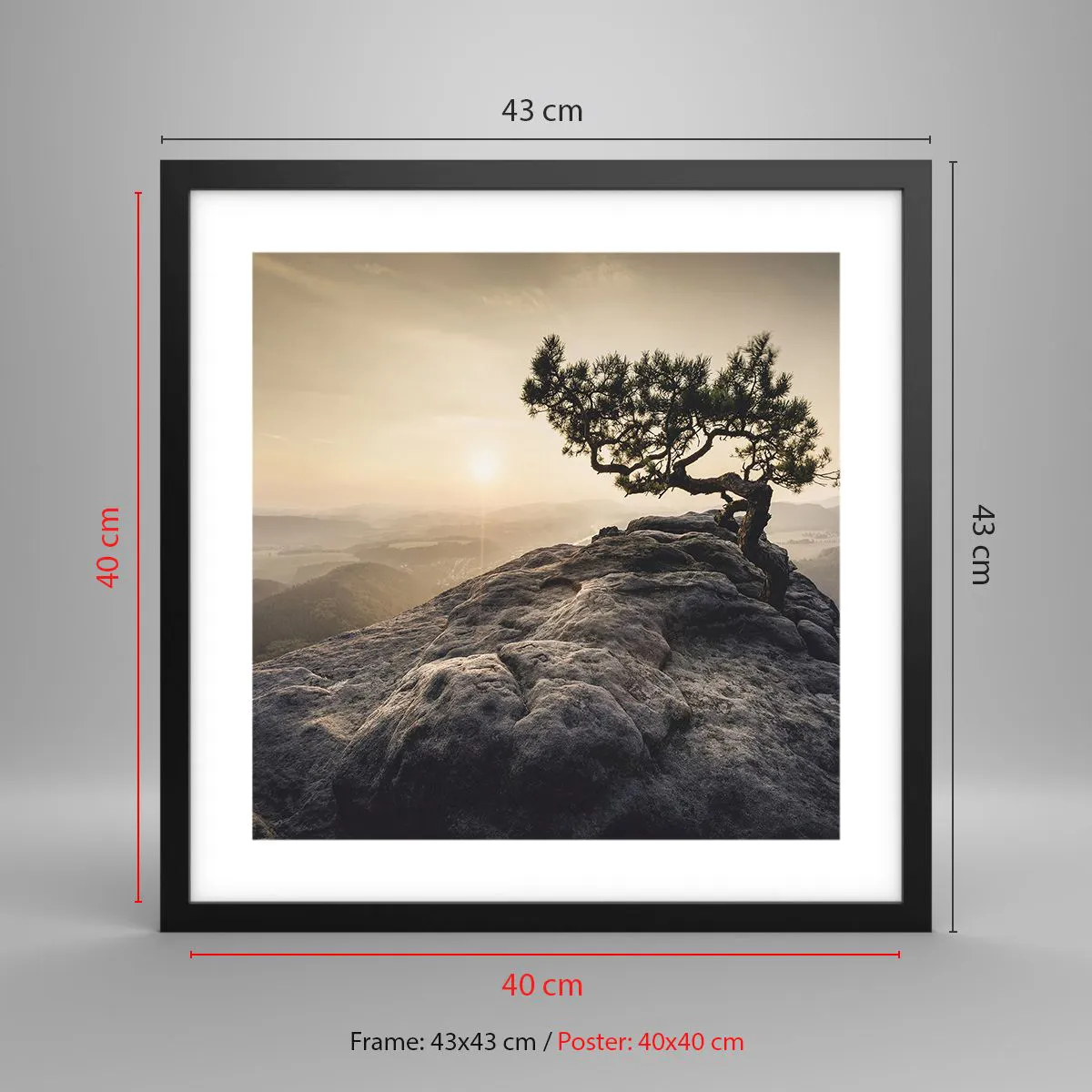 Poster în ramă neagră - Viața învinge întotdeauna - 40x40 cm