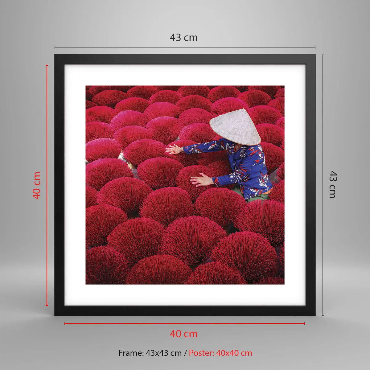 Poster in einem schwarzem Rahmen - Im Reisfeld - 40x40 cm