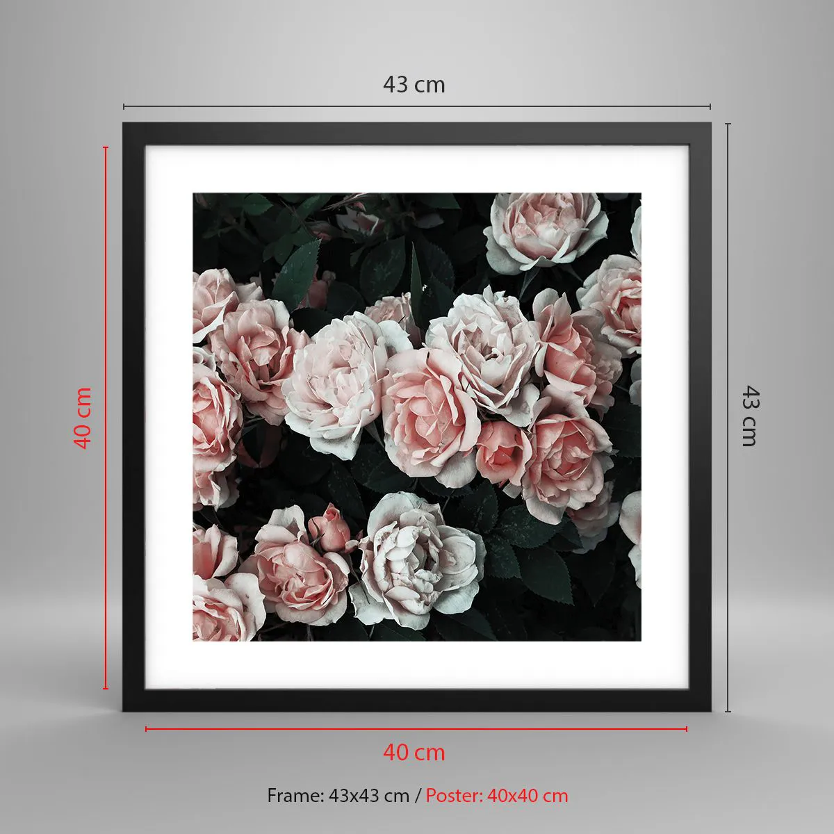 Poster în ramă neagră - Ansamble de trandafiri - 40x40 cm