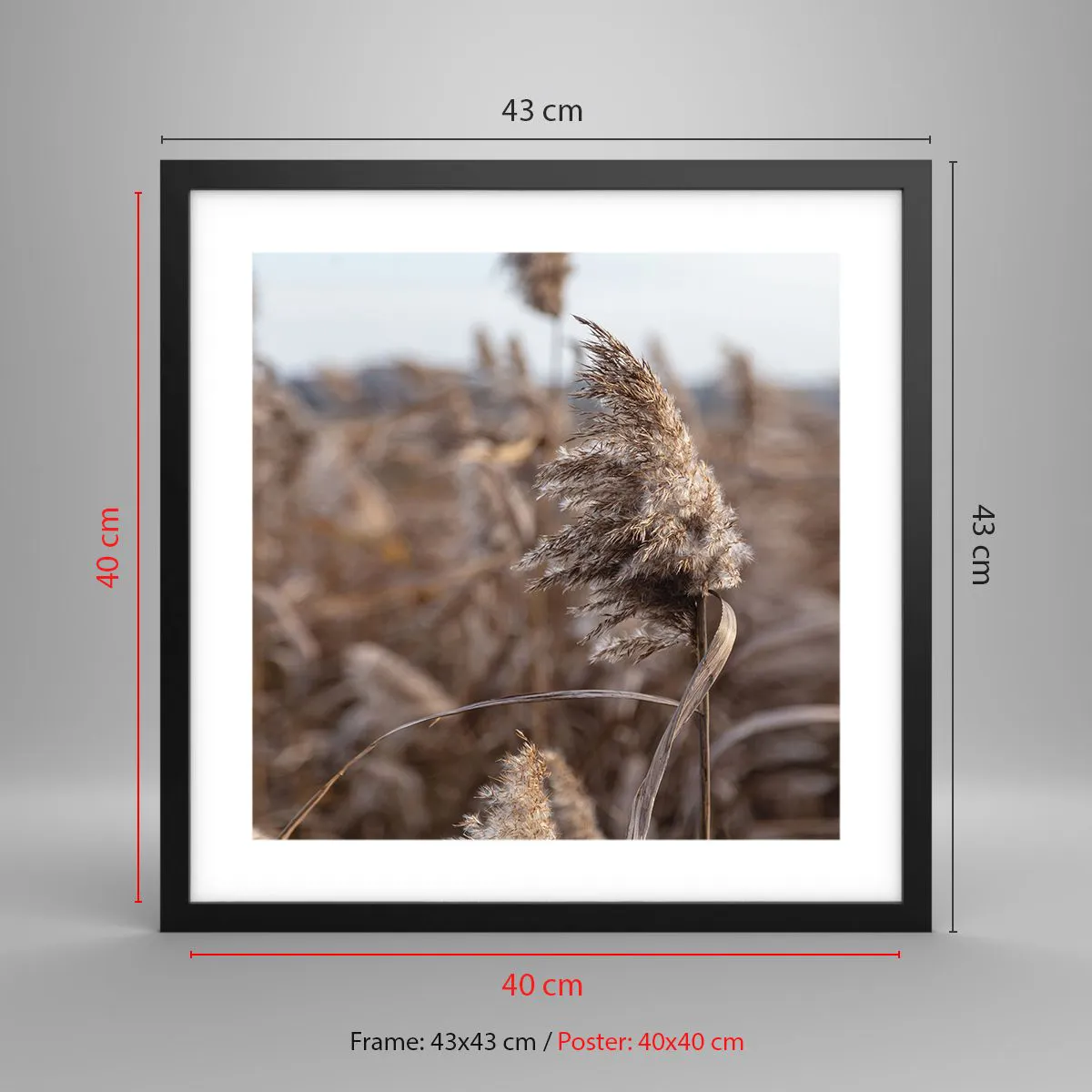Plakat i sort ramme - Tid til at flyve væk med vinden - 40x40 cm