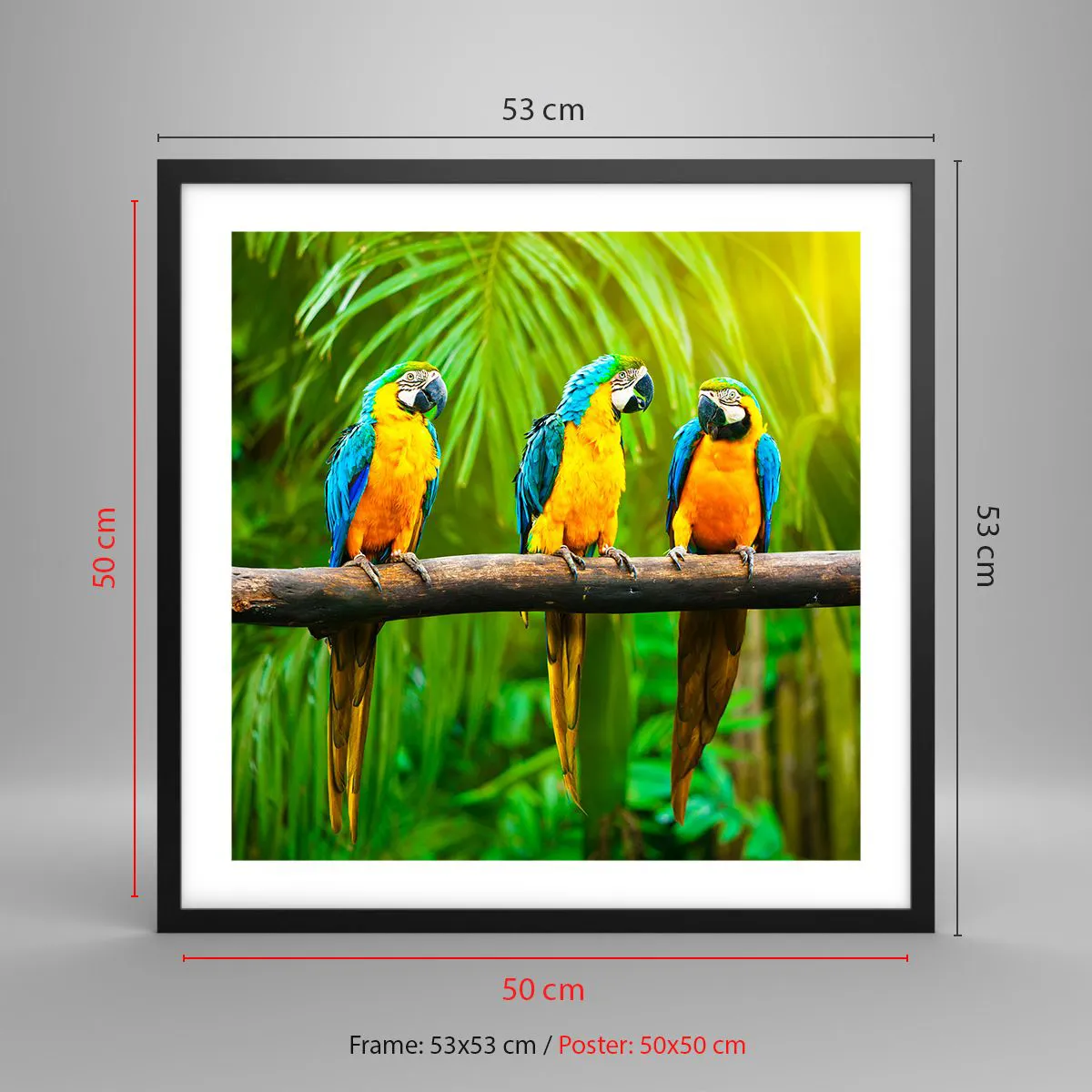 Affiche dans un cadre noir - Poster - Et avez-vous entendu qu'elle ...? - 50x50 cm