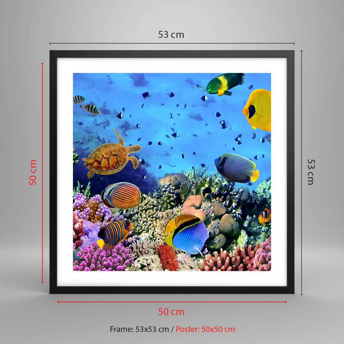 Affiche dans un cadre noir - Poster - Et que sait-on de la vie… - 50x50 cm