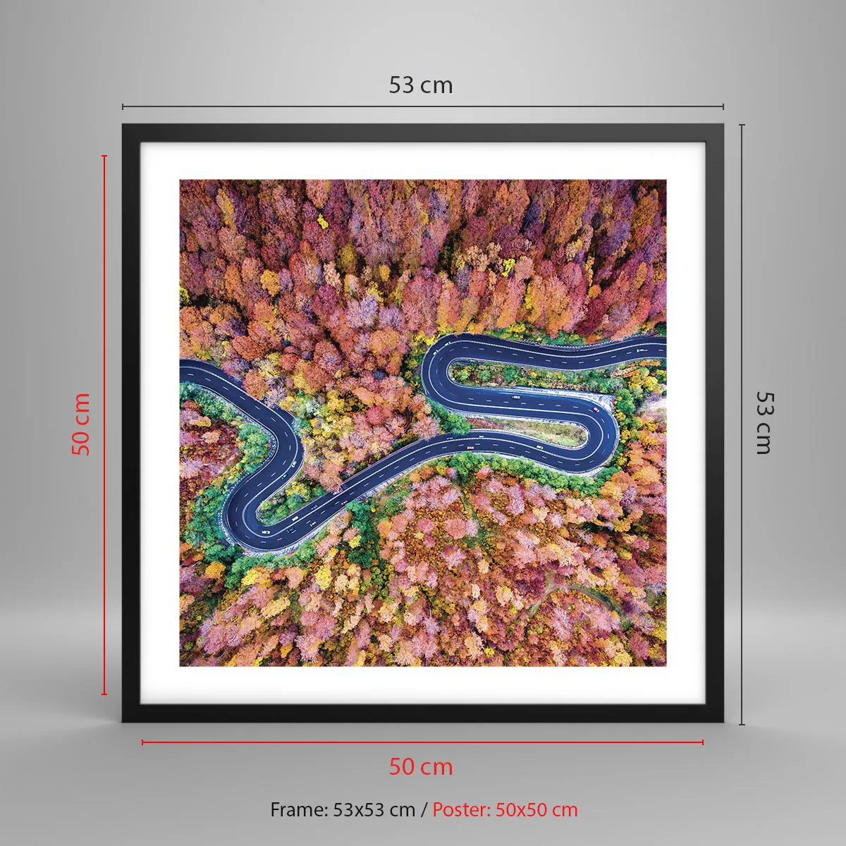 Poszter fehér keretben - Kanyargós út az erdőn keresztül - 50x50 cm