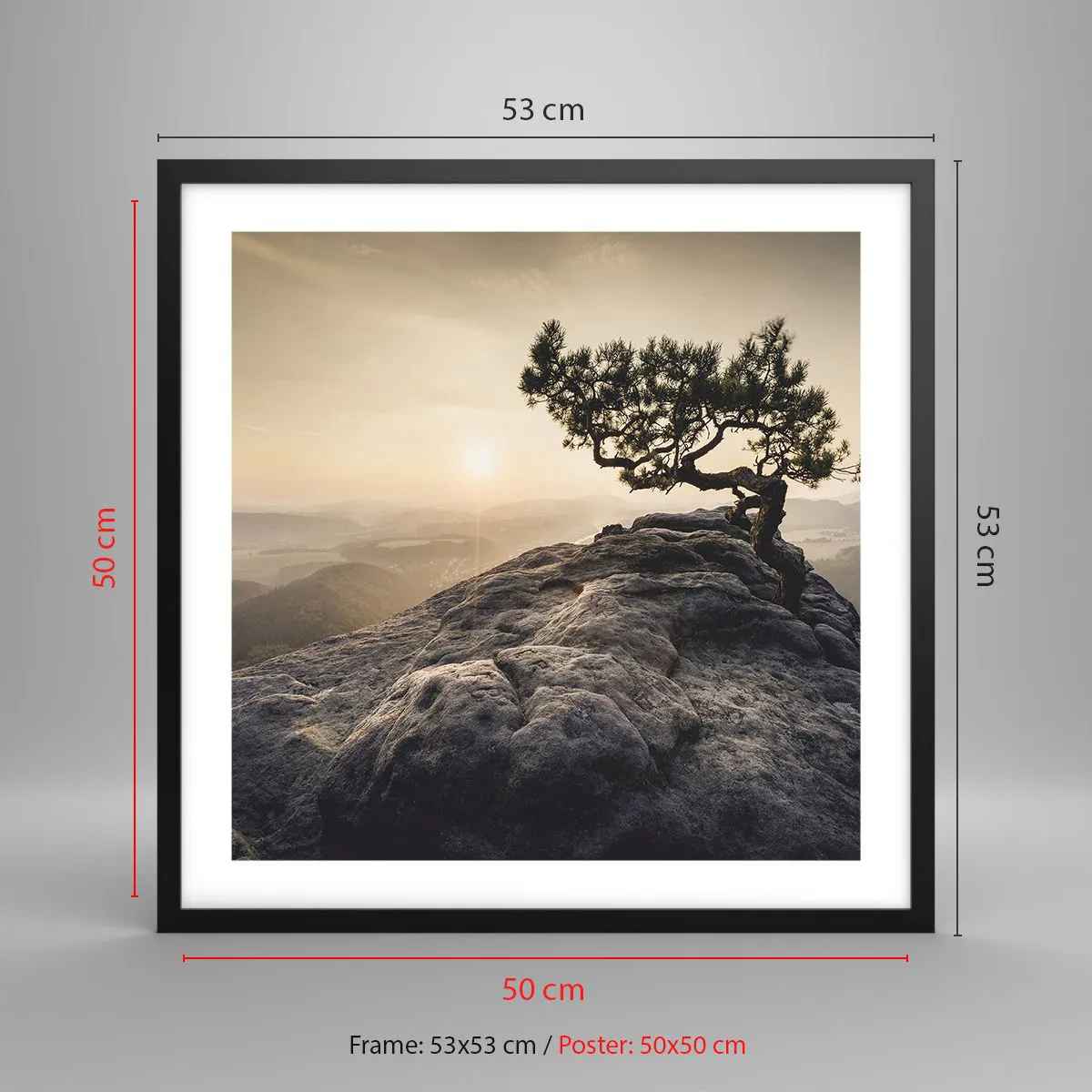 Plakát v černém rámu - Život vždy vítězí - 50x50 cm