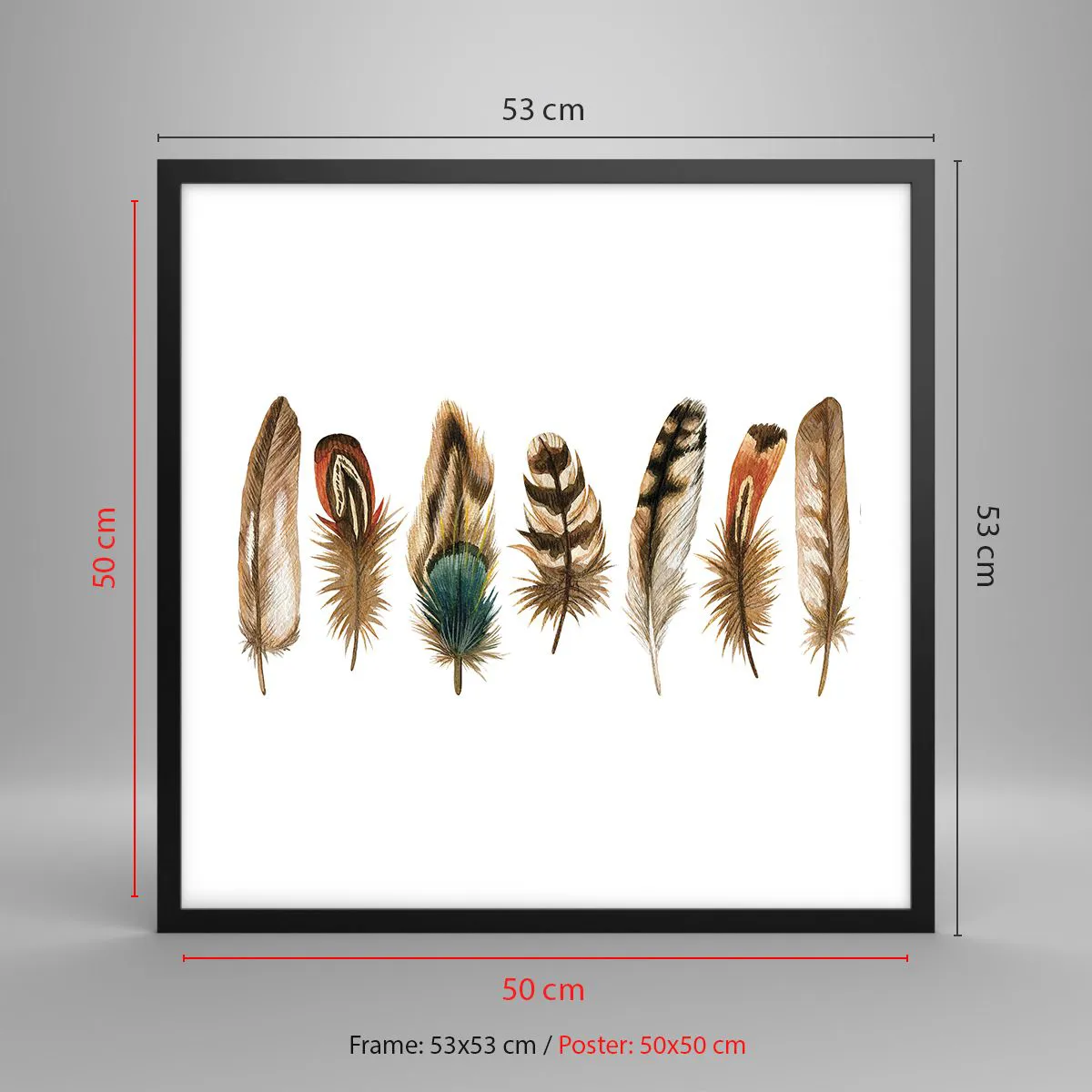 Affiche dans un cadre noir - Poster - Variation à plumes - 50x50 cm