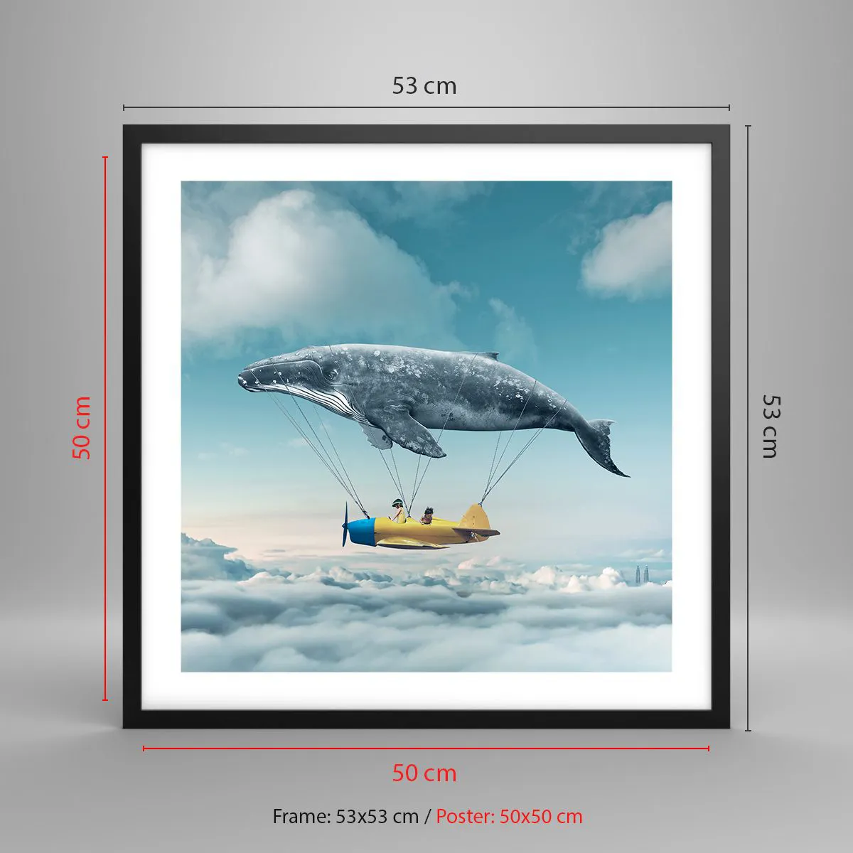 Plakat w czarnej ramie - Dlaczego nie? - 50x50 cm