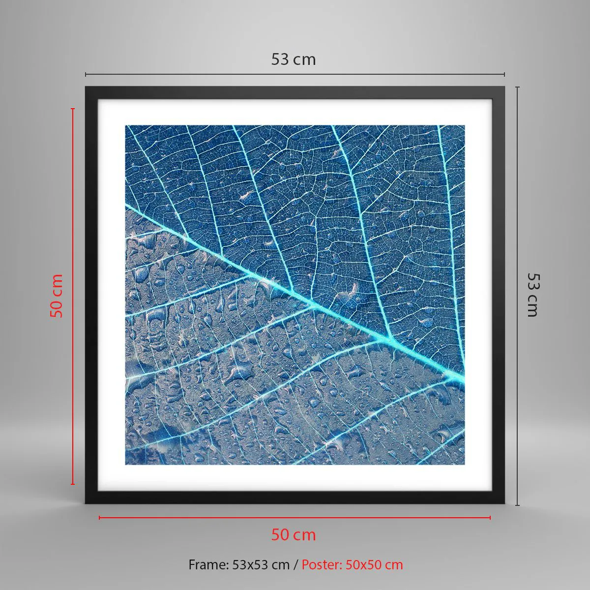 Poster in cornice nera - Vita nel blu - 50x50 cm