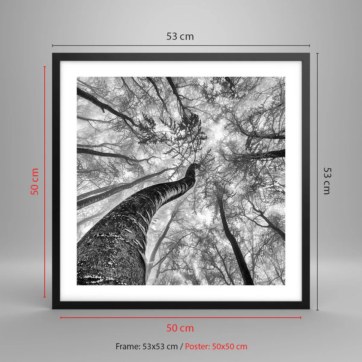 Poszter fehér keretben - Verseny a fény felé - 50x50 cm