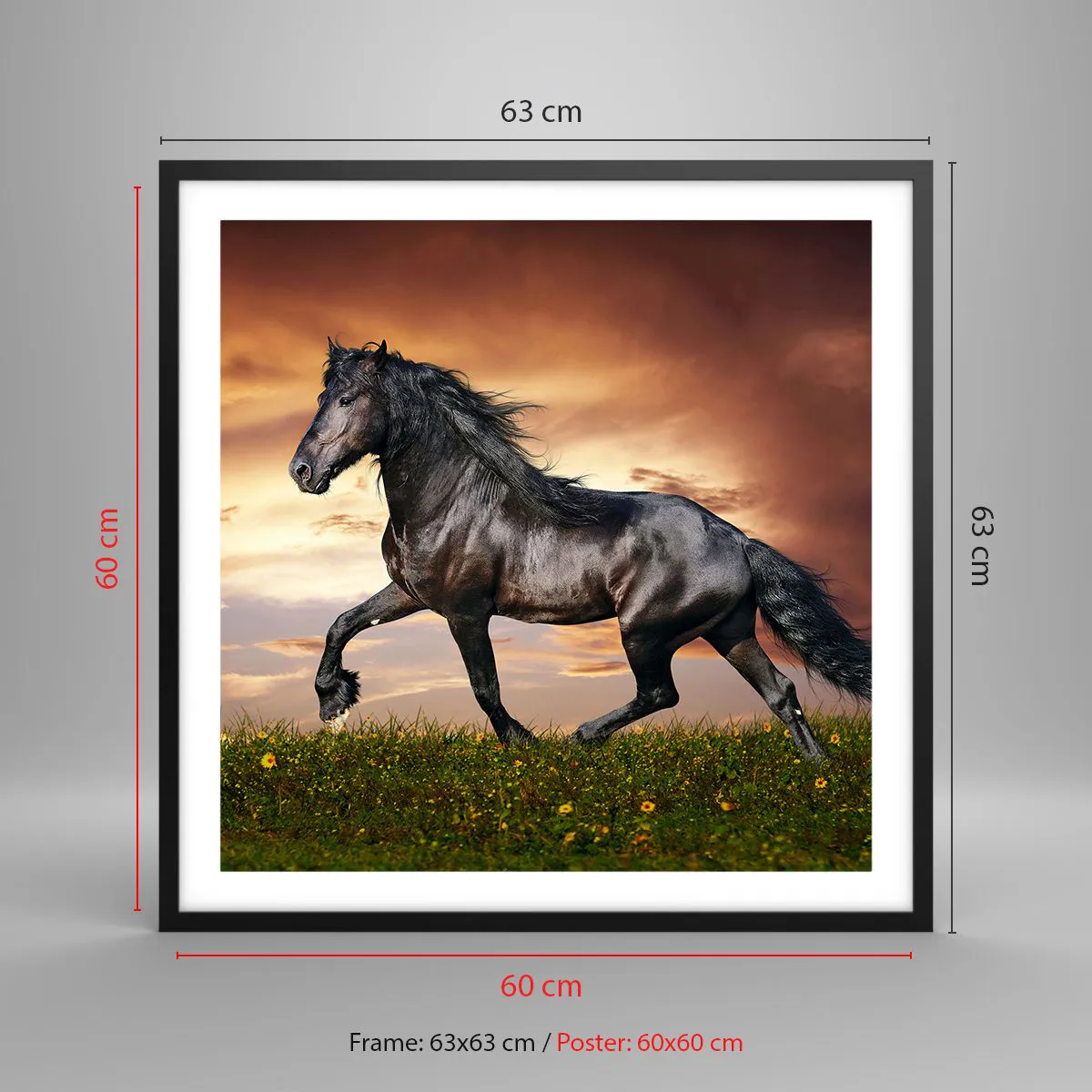 Poszter fehér keretben - Fekete herceg - 60x60 cm