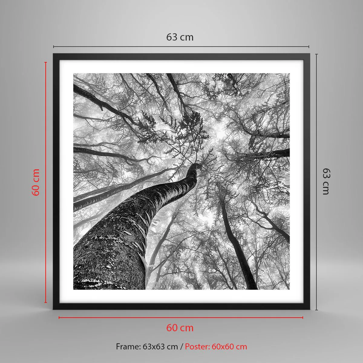 Poszter fehér keretben - Verseny a fény felé - 60x60 cm