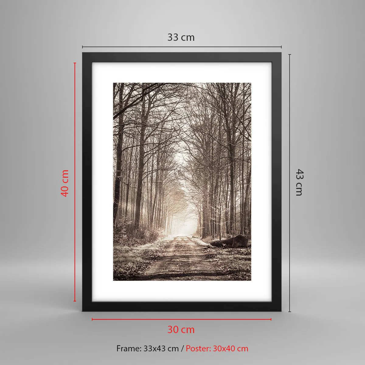 Affiche dans un cadre noir - Poster - Cathédrale de la forêt - 30x40 cm