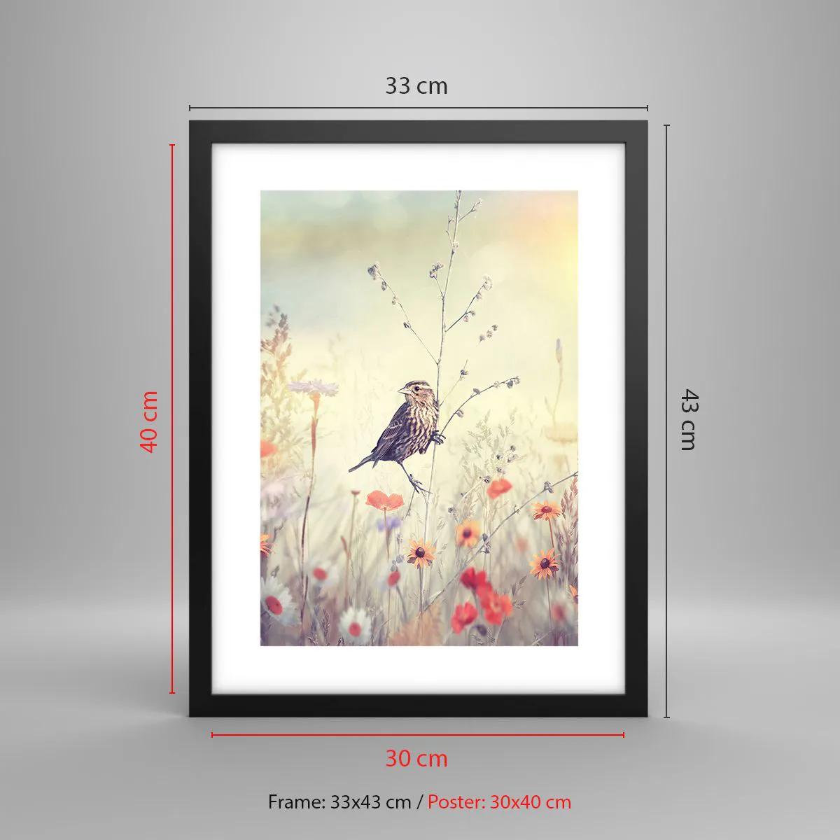 Poster in een zwarte lijst - Vogelportret met een weiland op de achtergrond - 30x40 cm