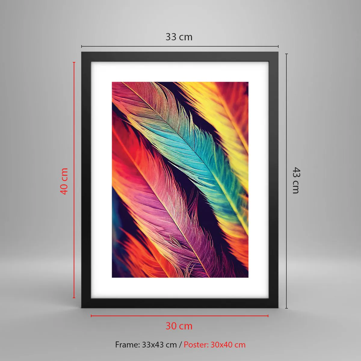 Poster in cornice nera - Arcobaleno piumato - 30x40 cm