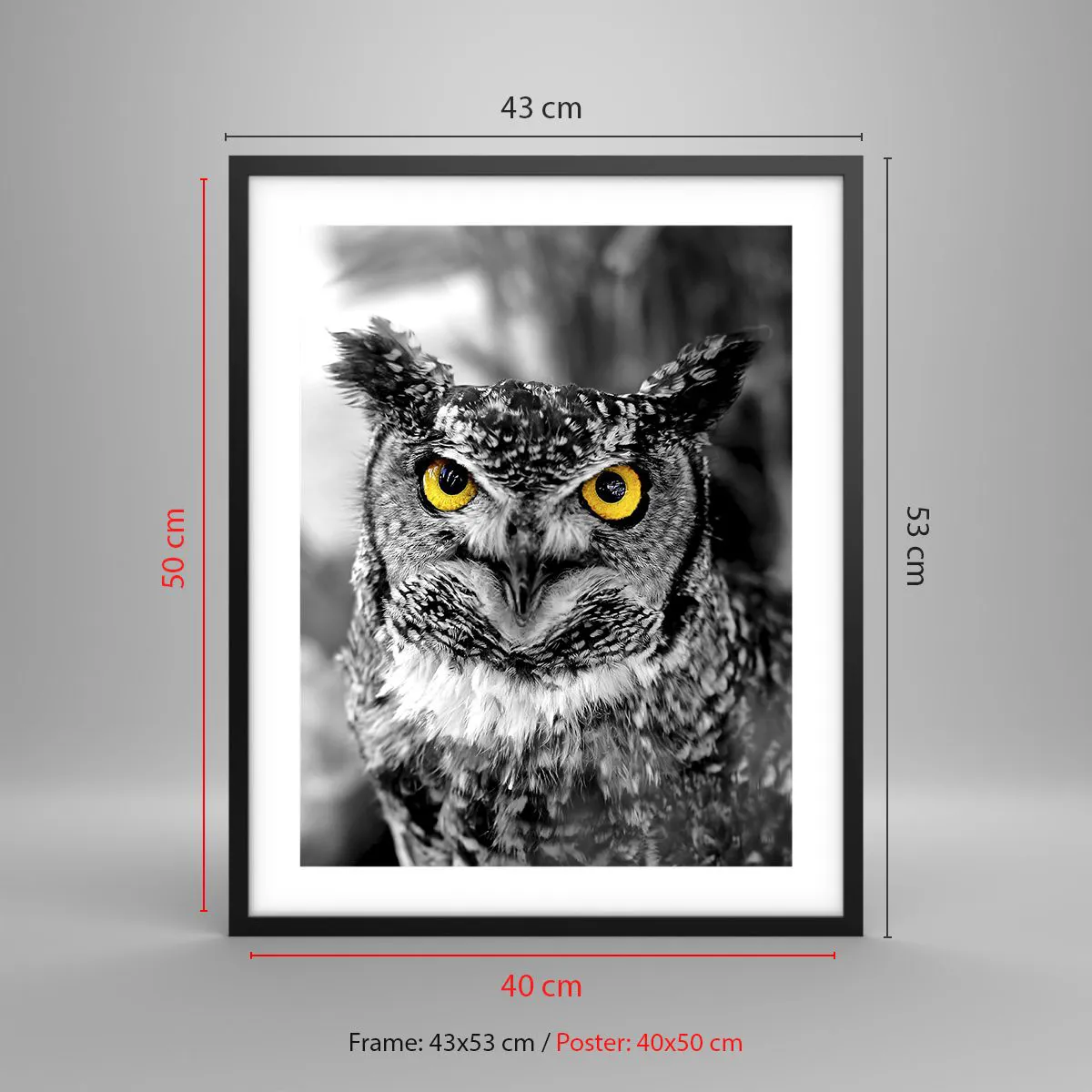 Poszter fehér keretben - Semmi sem fog elbújni - 40x50 cm