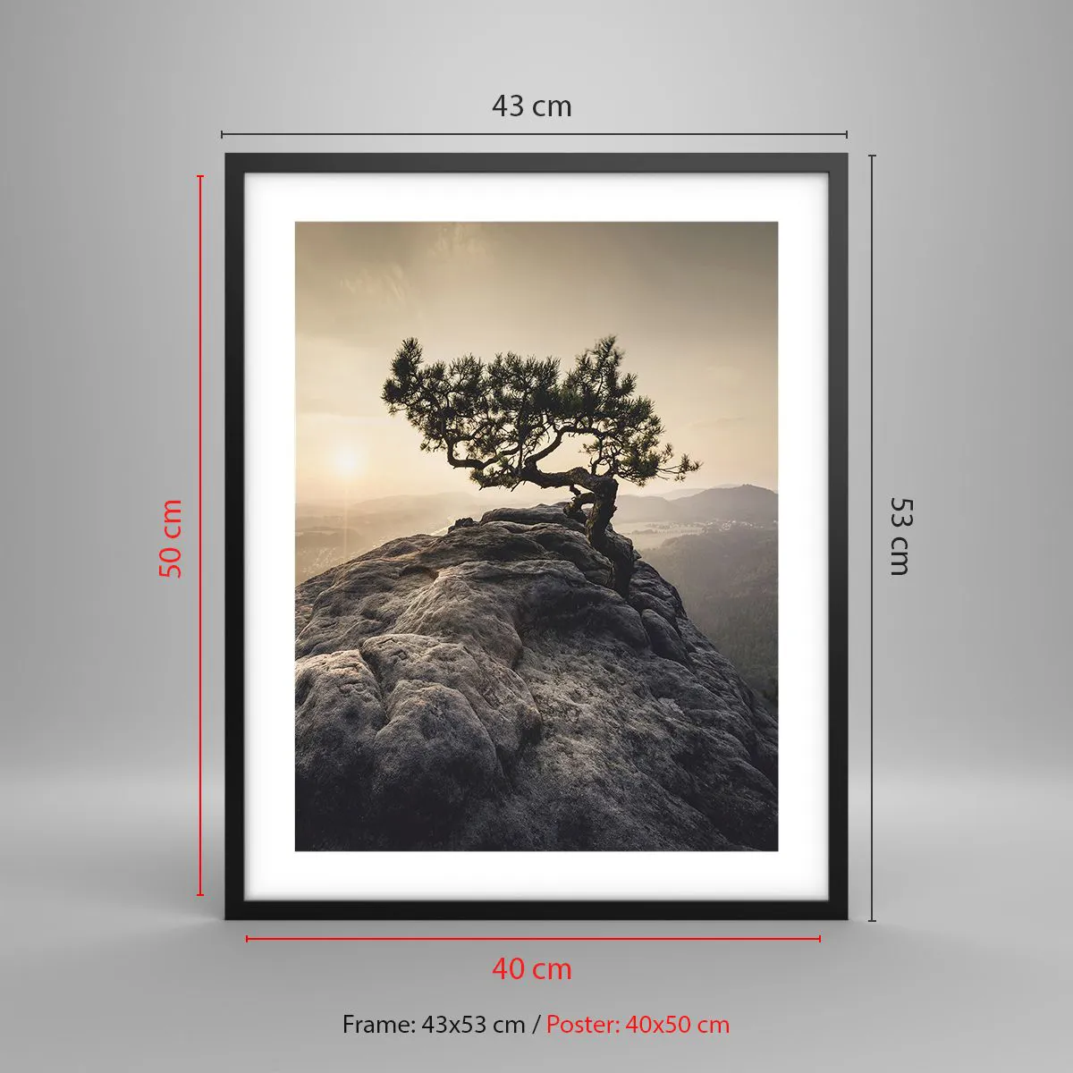 Poster in een zwarte lijst - Het leven wint altijd - 40x50 cm