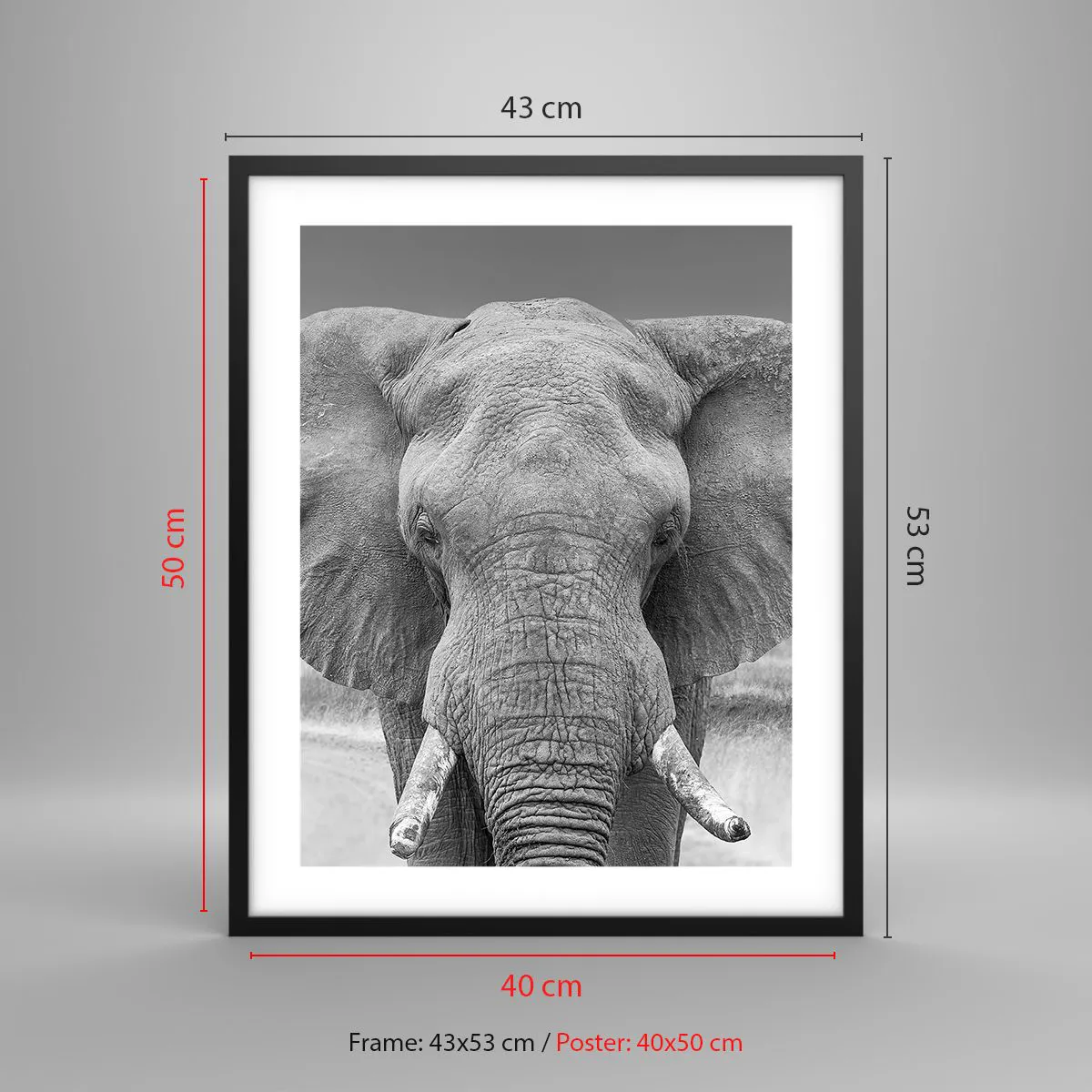 Poster in einem schwarzem Rahmen - Willkommen in meiner Welt - 40x50 cm