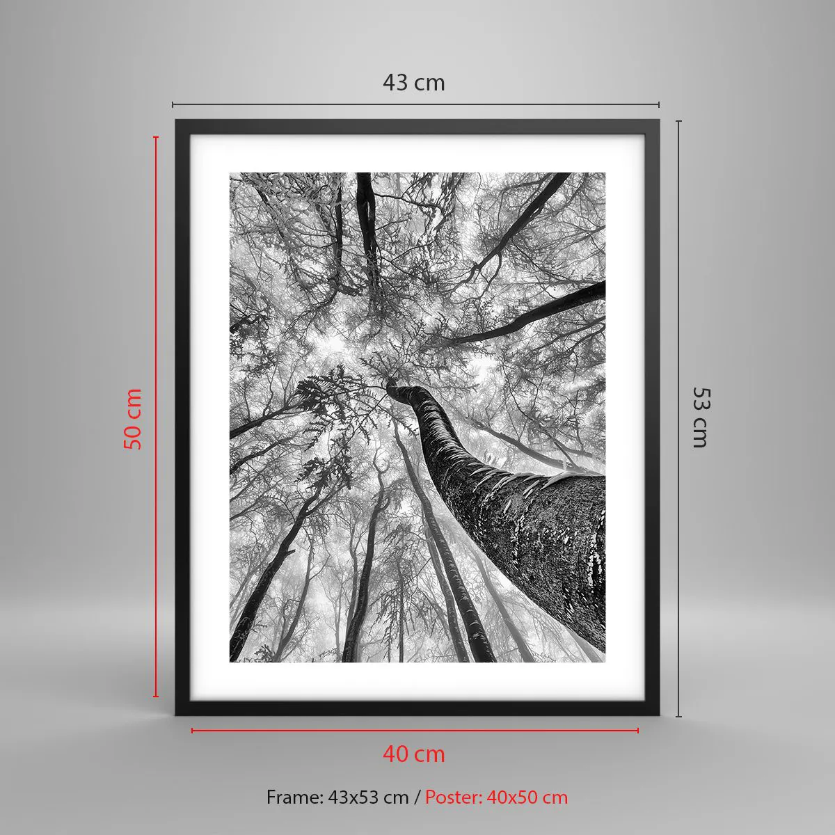 Poszter fehér keretben - Verseny a fény felé - 40x50 cm