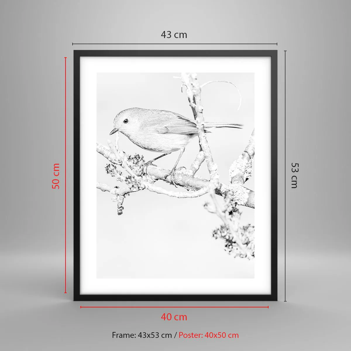 Affiche dans un cadre noir - Poster - Matin d'hiver - 40x50 cm