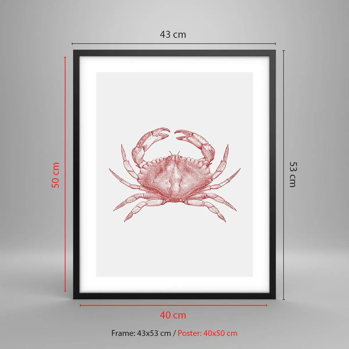 Affiche dans un cadre noir - Poster - Le crabe des crabes - 40x50 cm