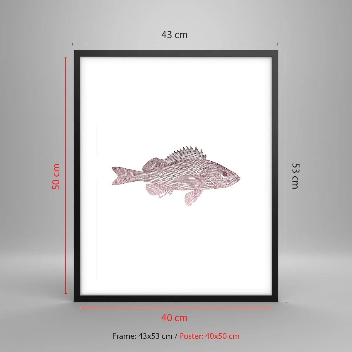 Affiche dans un cadre noir - Poster - Poisson aux grands yeux - 40x50 cm