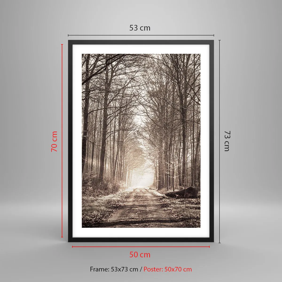 Affisch i svart ram - En skogsstig i höstliga sepiatoner - 50x70cm - Skogens domkyrka - Modern väggdekoration för vardagsrum och sovrum ARTTOR