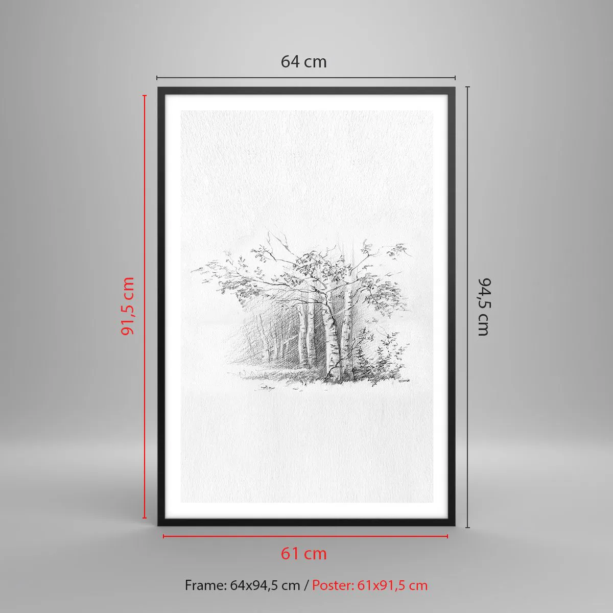 Affiche dans un cadre noir - Poster - Lumière d'une forêt de bouleaux - 61x91 cm
