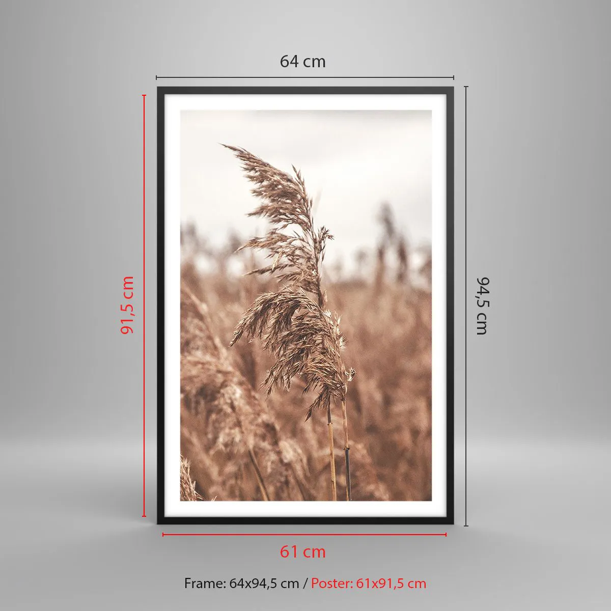 Affiche dans un cadre noir - Poster - C'est déjà l'automne dans les champs - 61x91 cm