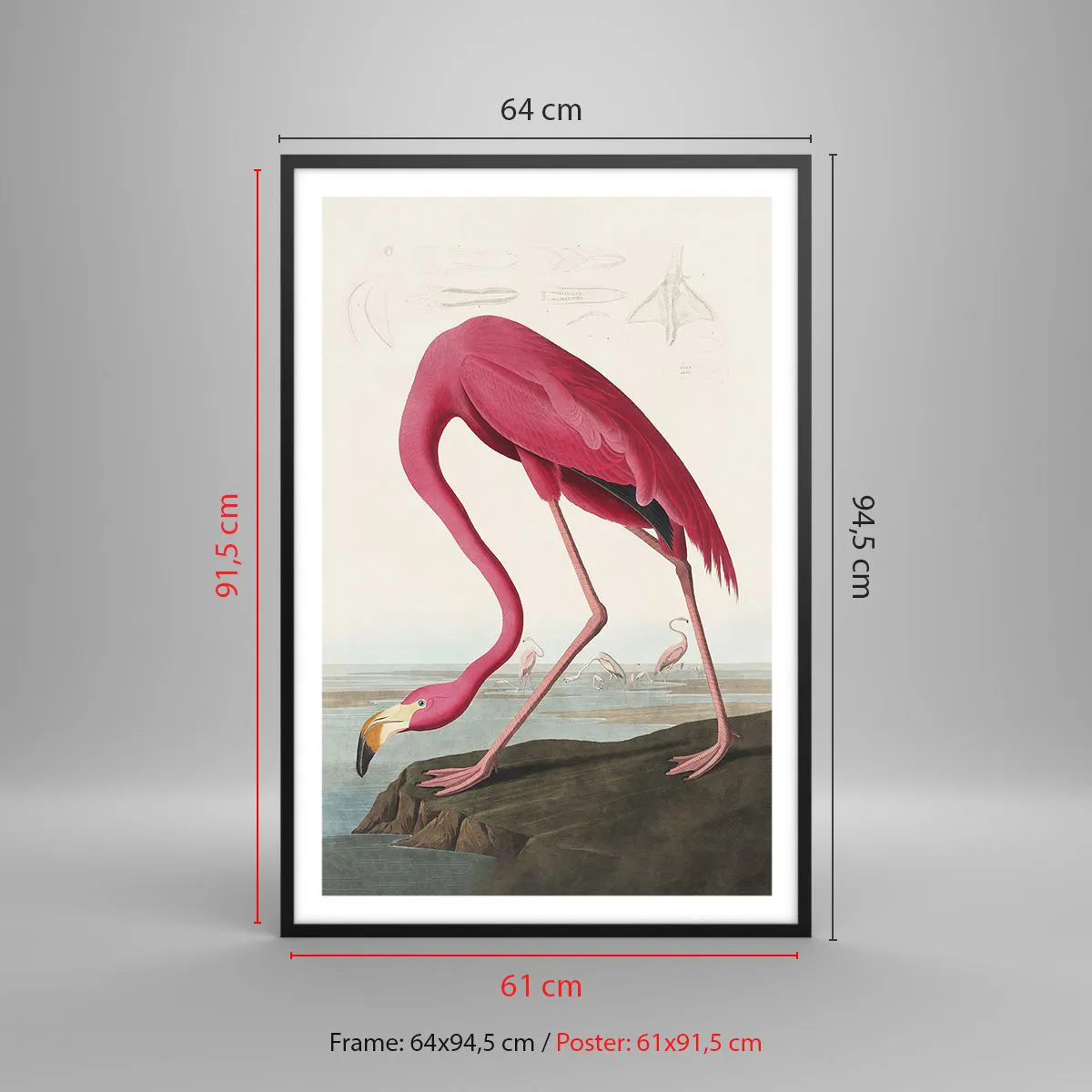 Affisch i svart ram - Underlig varelse - 61x91 cm