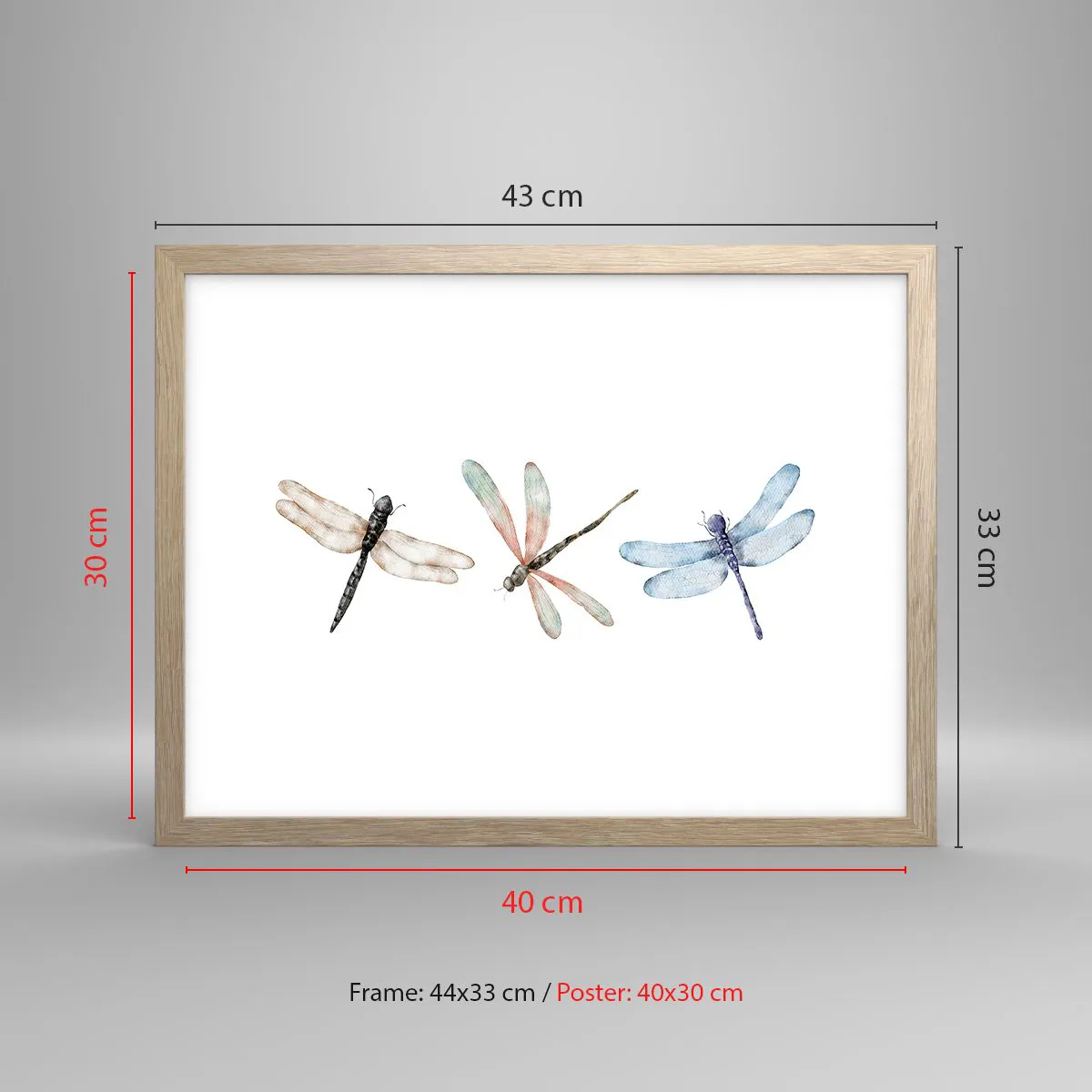 Pôster com moldura de carvalho claro - Libélulas sem peso - 40x30 cm