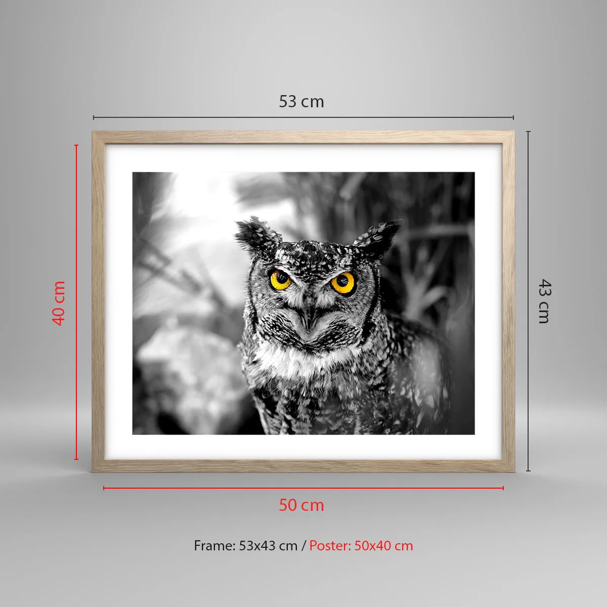 Plakat w ramie jasny dąb - Nic się nie ukryje - 50x40 cm