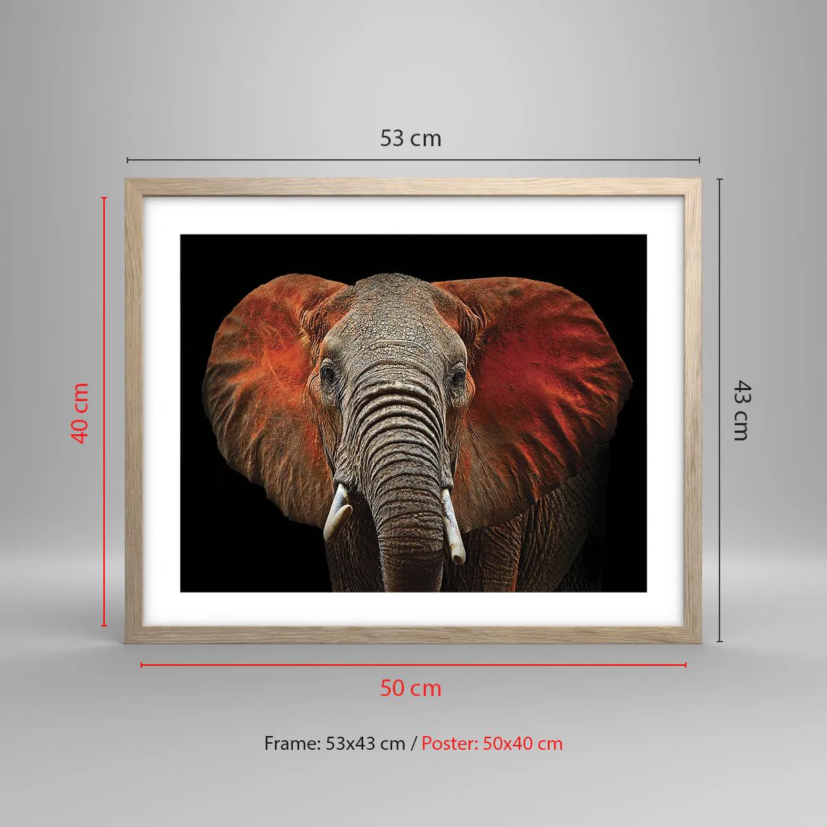 Plakat w ramie jasny dąb - Jestem dziki, a ty? - 50x40 cm