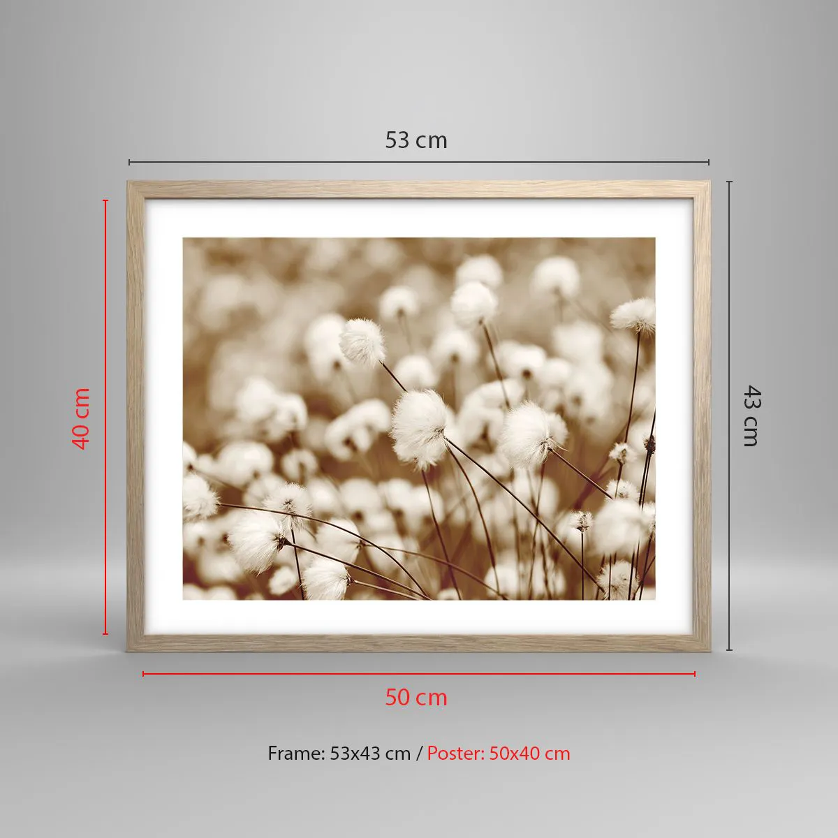 Poster in light oak frame - Fluffy field - 50x40 cm