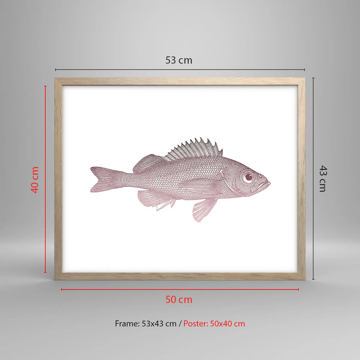Pôster com moldura de carvalho claro - Peixe de olhos grandes - 50x40 cm
