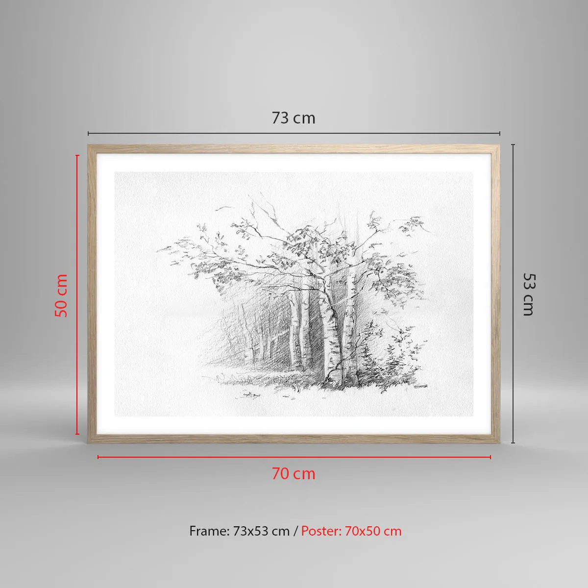 Plakat w ramie jasny dąb - Światło brzozowego lasu - 70x50 cm