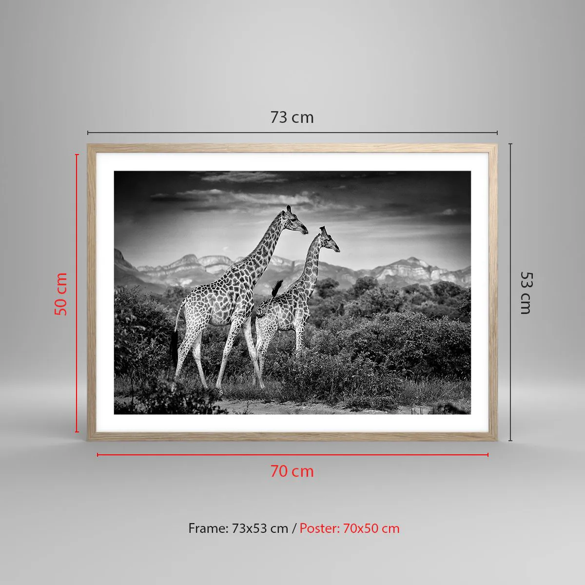 Affiche dans un chêne clair - Poster - Hautes sphères en Afrique - 70x50 cm