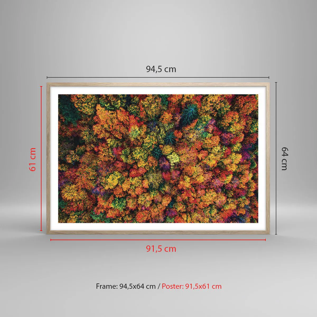 Plakat w ramie jasny dąb - Bukiet jesiennych drzew - 91x61 cm