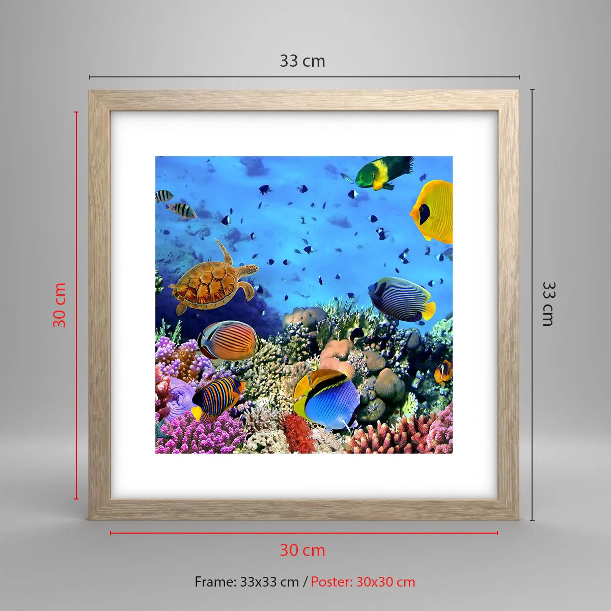 Affiche dans un chêne clair - Poster - Et que sait-on de la vie… - 30x30 cm