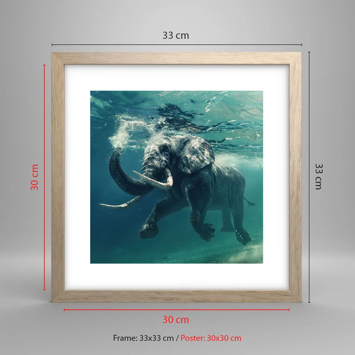 Plakat i ramme af lyst egetræ - Alle kan lide at svømme - 30x30 cm