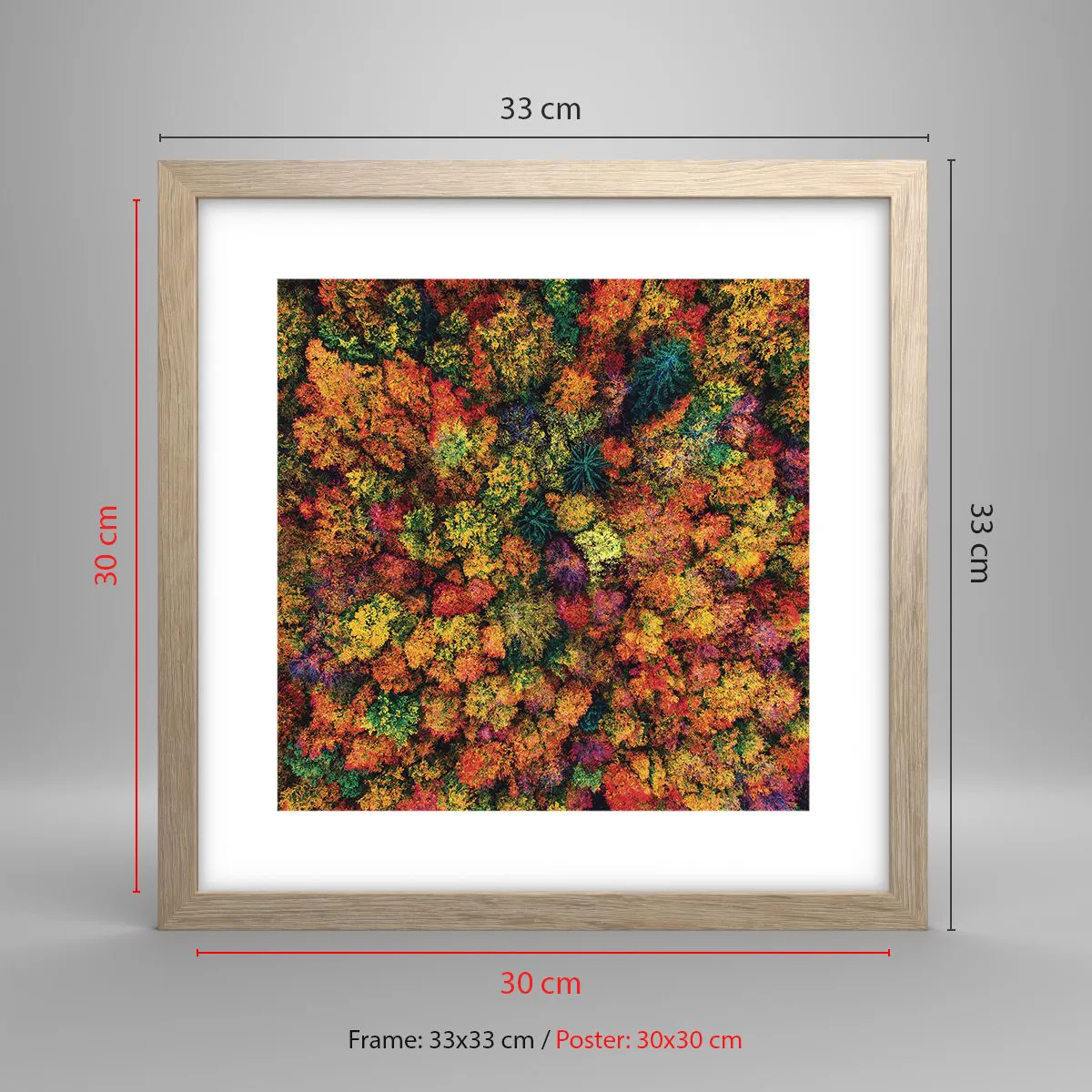 Plakat i ramme af lyst egetræ - Buket af efterårstræer - 30x30 cm
