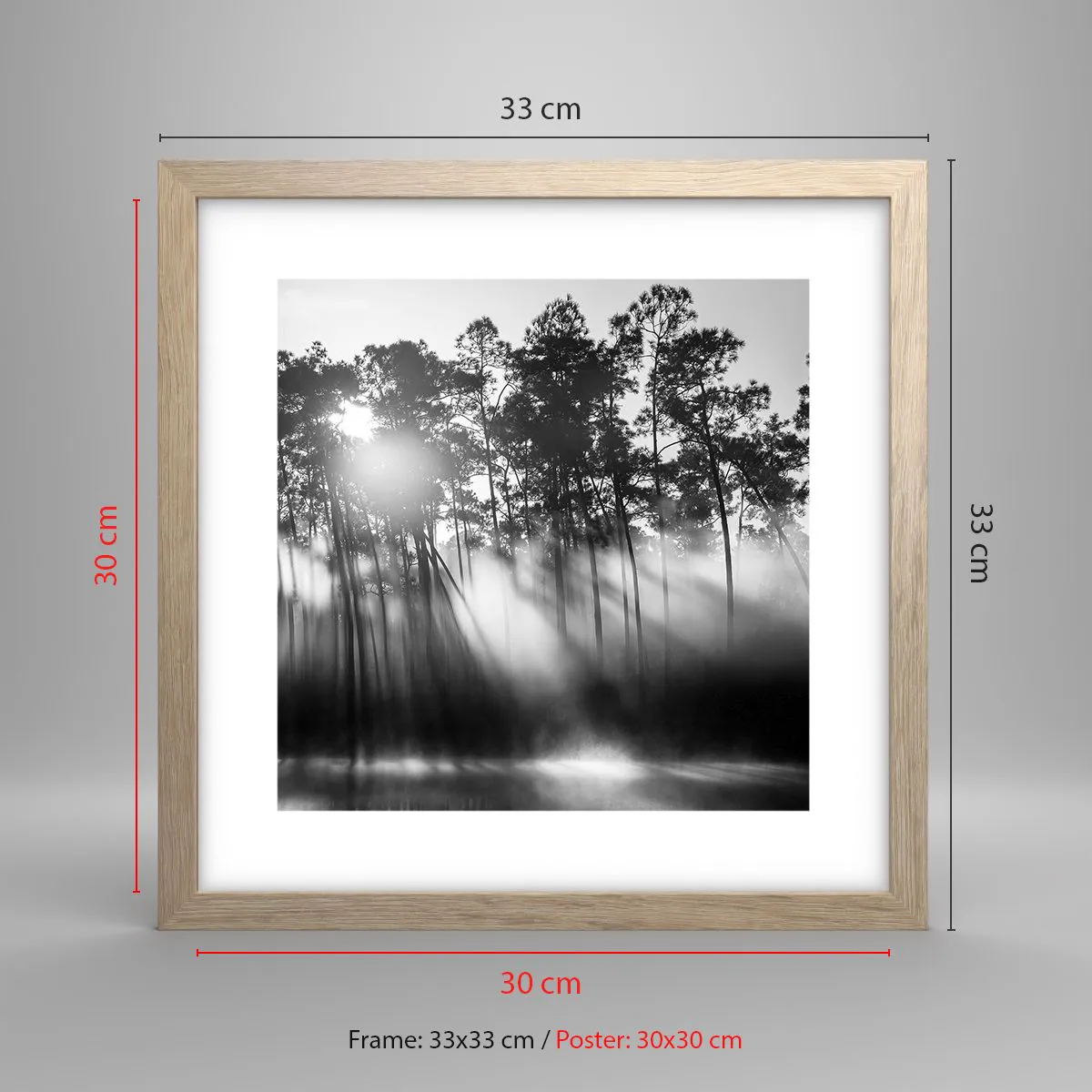 Plakat w ramie jasny dąb - Niepowstrzymane słońce - 30x30 cm