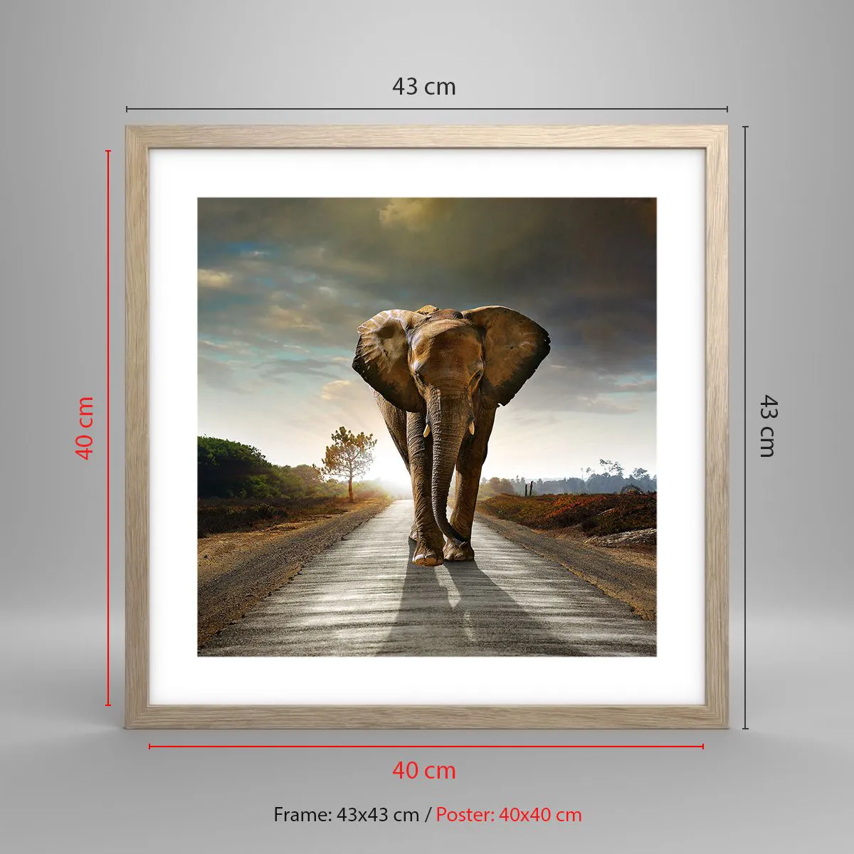 Pôster com moldura de carvalho claro - Não faz parte da composição da porcela - 40x40 cm
