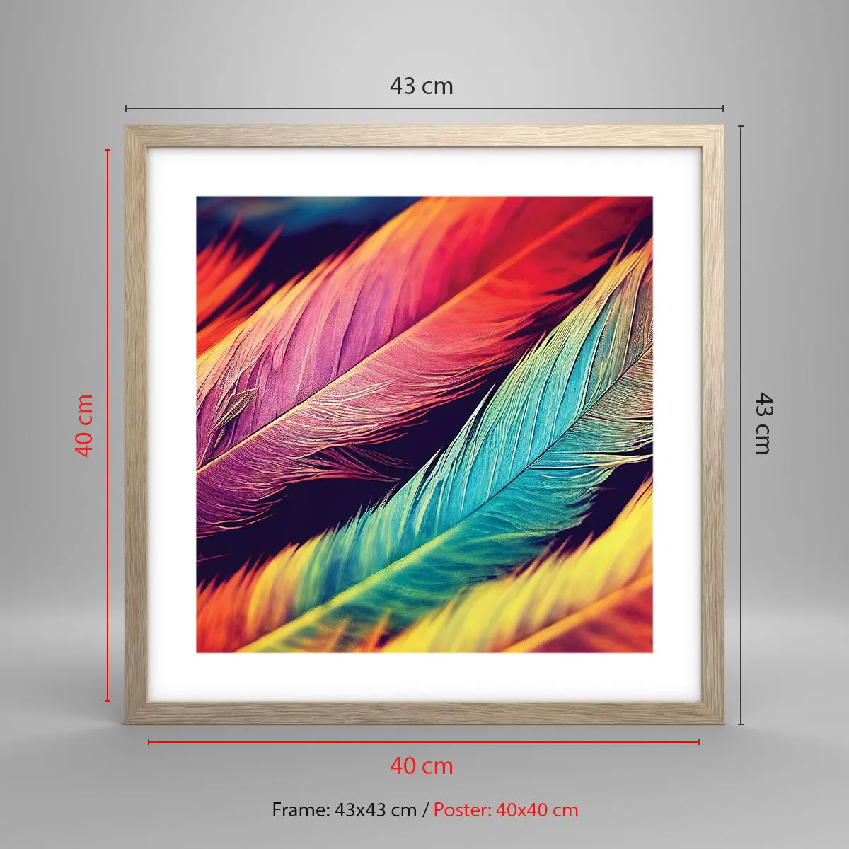 Poster in einem Rahmen aus heller Eiche - Gefiederter Regenbogen - 40x40 cm