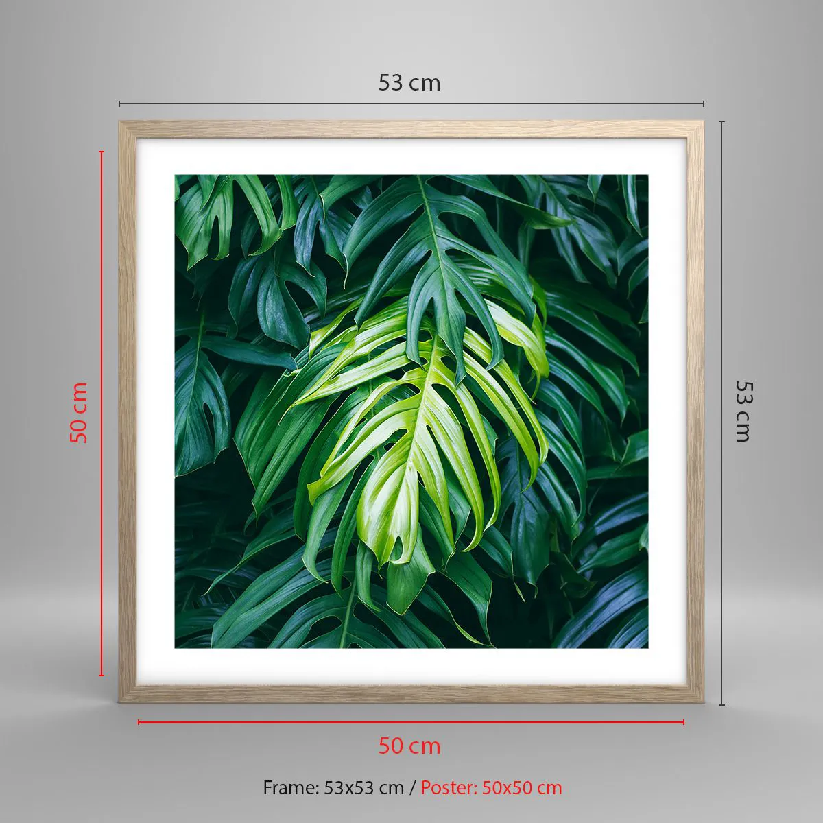 Affiche dans un chêne clair - Poster - Immergez-vous dans la fraîcheur - 50x50 cm