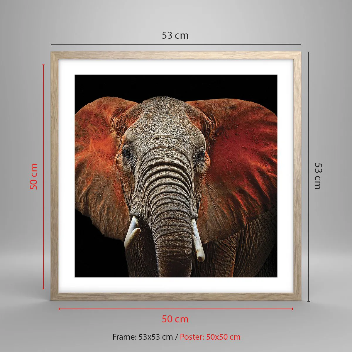 Plagát v ráme zo svetlého duba - Som divoký, a ty? - 50x50 cm