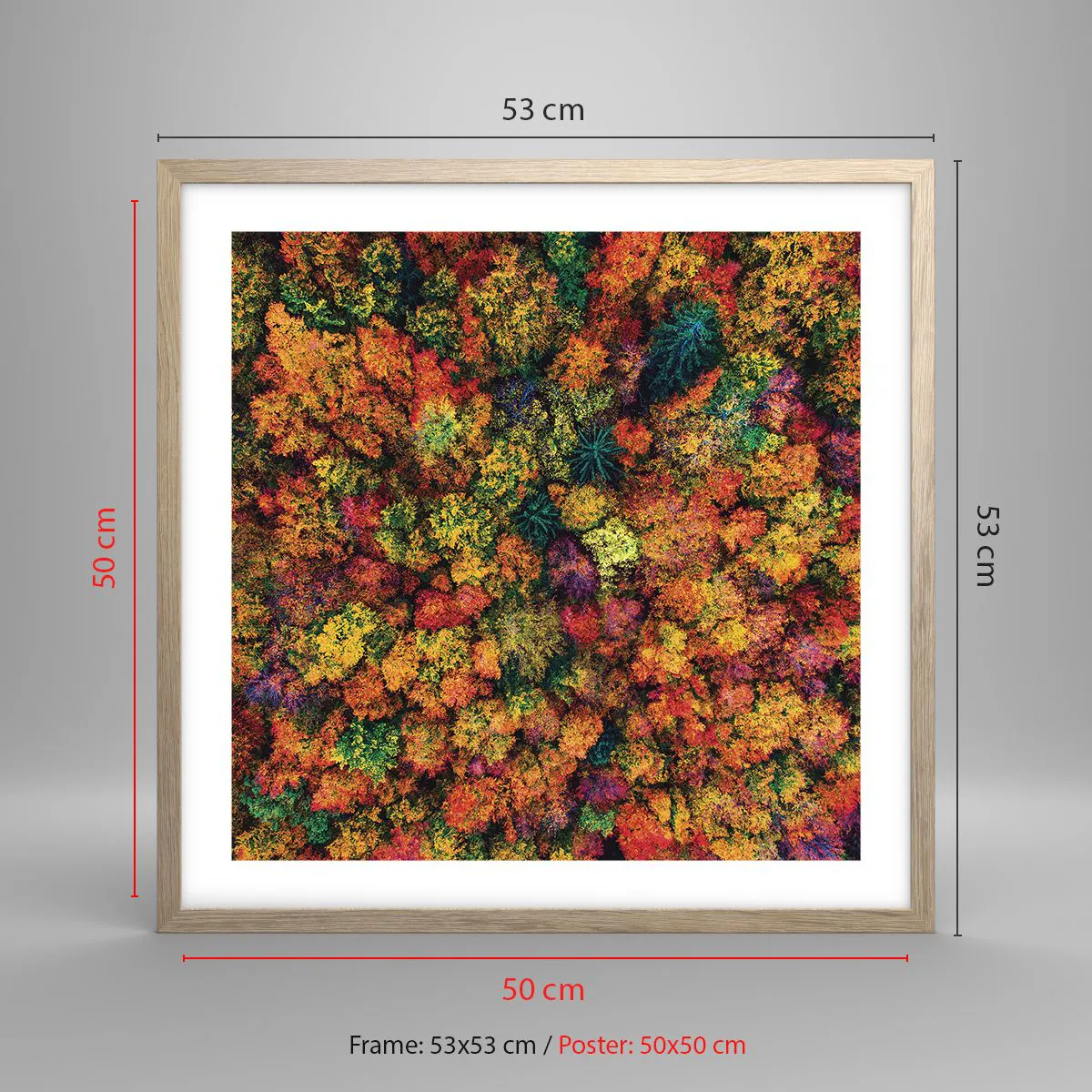 Affiche dans un chêne clair - Poster - Bouquet d'arbres automnal - 50x50 cm