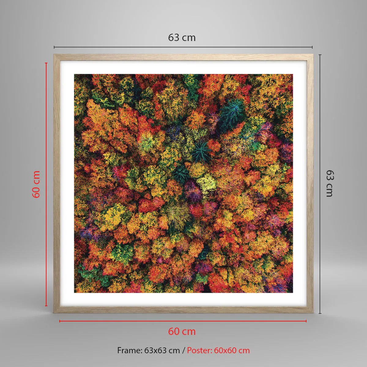 Plakat w ramie jasny dąb - Bukiet jesiennych drzew - 60x60 cm
