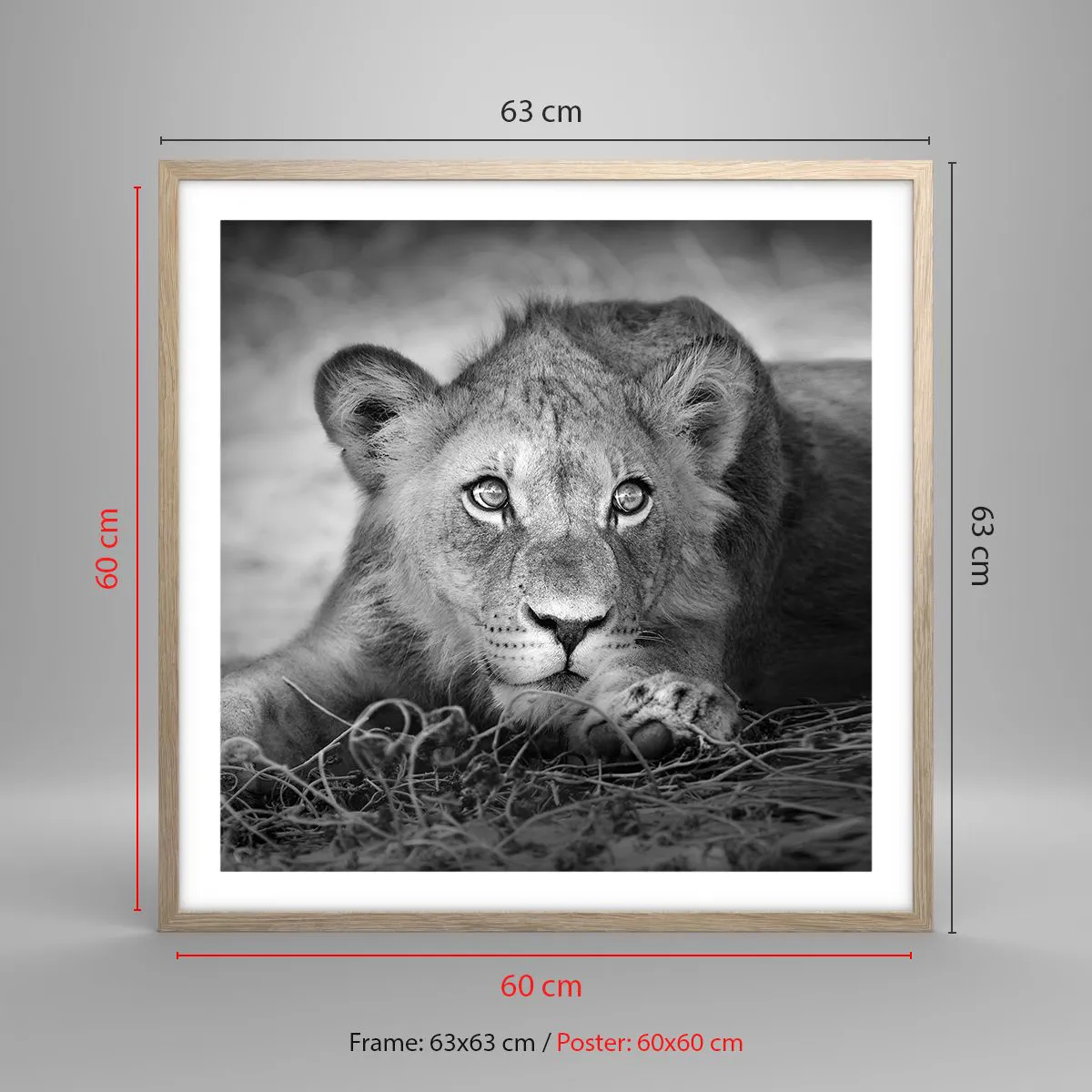 Een poster in een licht eiken lijst - Koninklijke puppy - 60x60 cm