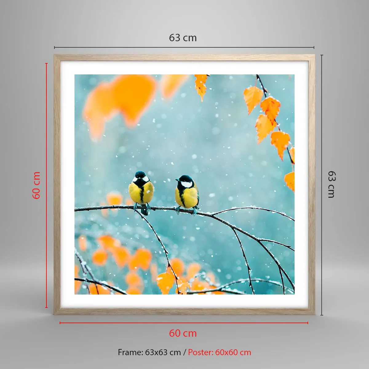 Plagát v ráme zo svetlého duba - Vtáčie klebety - 60x60 cm