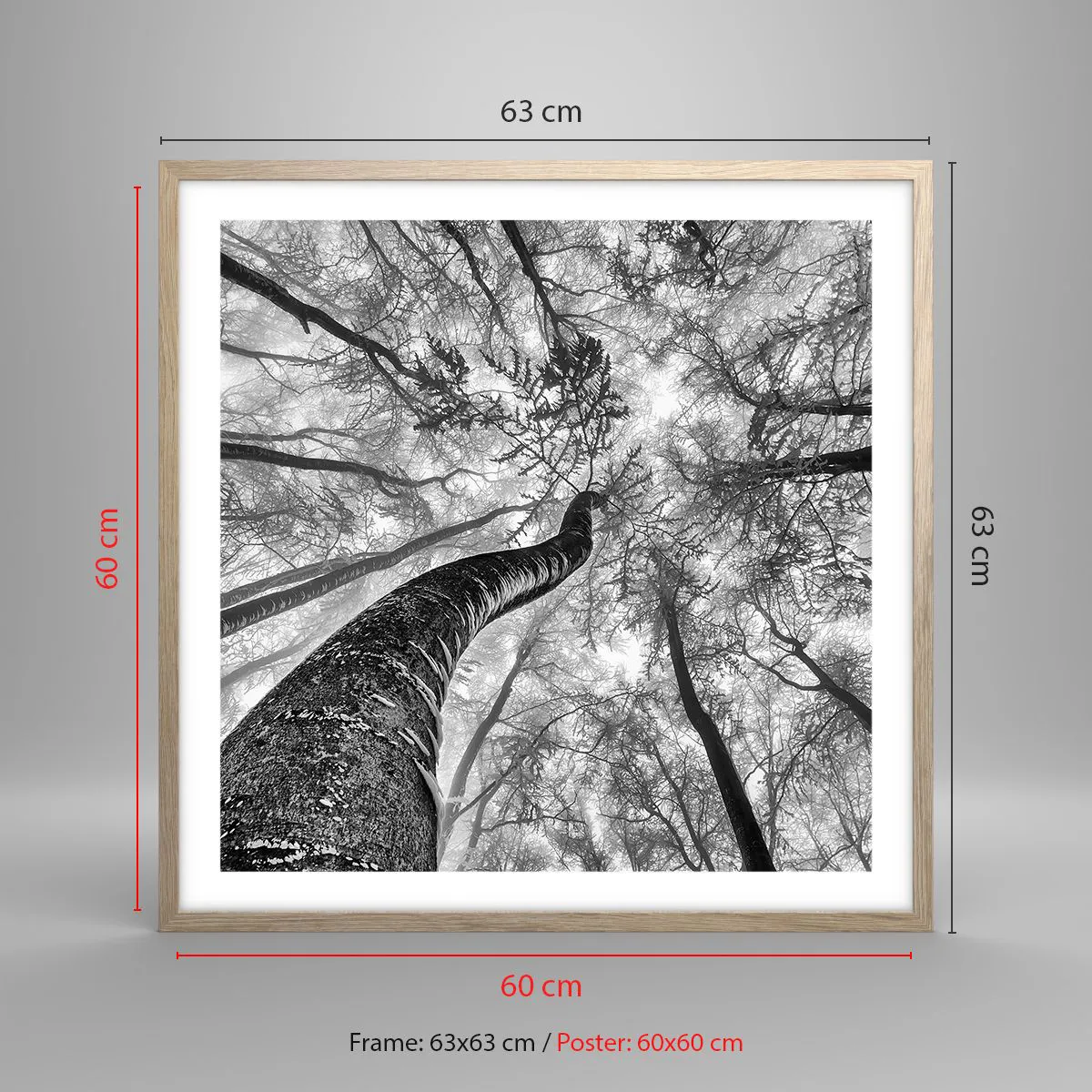 Poszter világos tölgy keretben - Verseny a fény felé - 60x60 cm