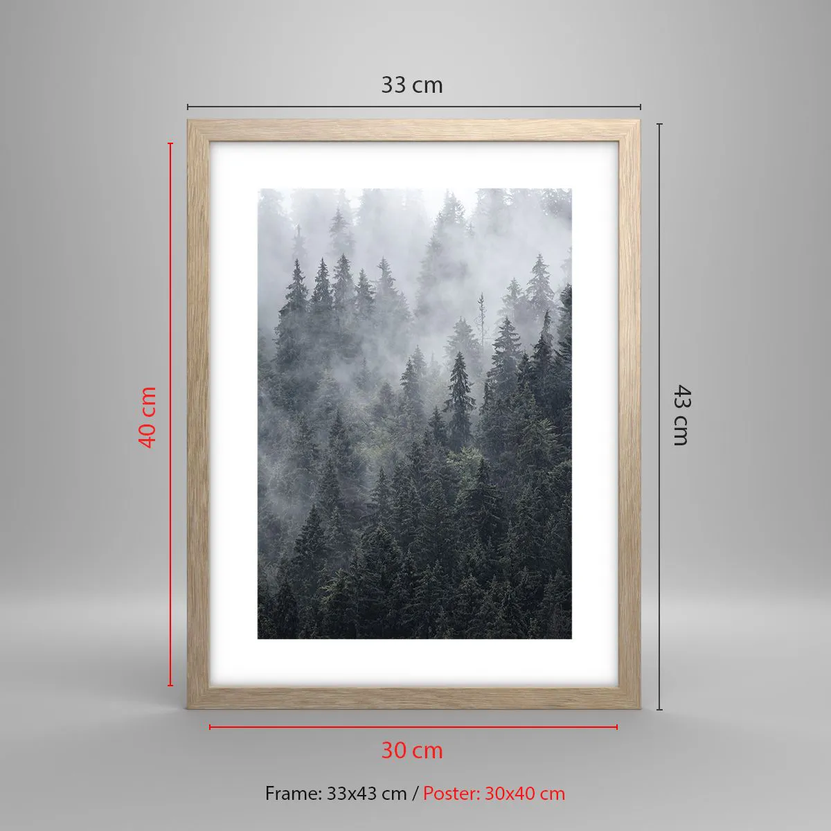 Affiche dans un chêne clair - Poster - Aube de la forêt - 30x40 cm